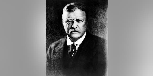Theodore Roosevelt, the 26th president of the United States, is seen in this undated photo.