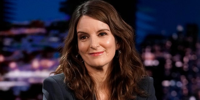 Tina Fey appeared on 'The Tonight Show' to talk about saving someone on the Hudson River.