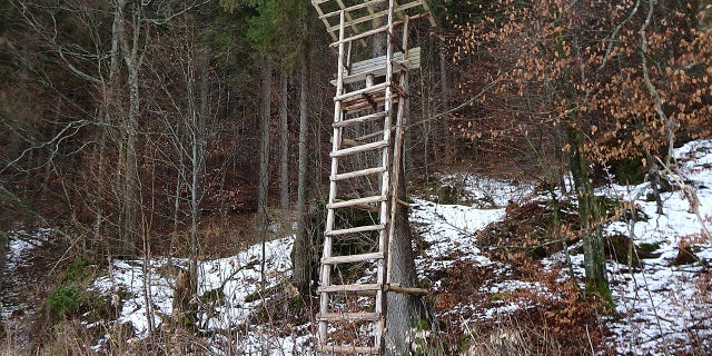 An Alabama man was found dead after apparently falling from a tree stand, like the one shown above.