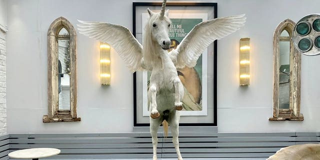 Bizarrely, the unicorn has been displayed in a coffee shop in South West London – until now.