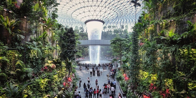 Singapore’s Changi Airport is offering "Glamping in the Clouds" near the Rain Vortex (nella foto), as part of its Festival Village this holiday season. (iStock)