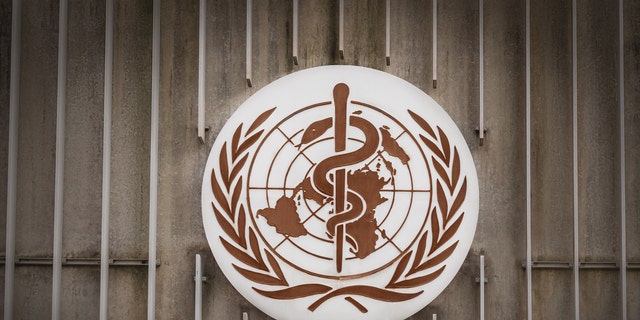 World Health Organization officials are uncertain of the UK virus strain's significance. (iStock)