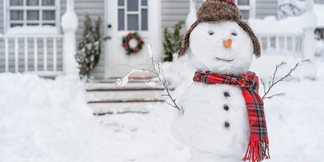 Jefferson County School Superintendent Dr. Bondy Shay Gibson told parents and staff to enjoy a day off on the first snow day of the year. (iStock)