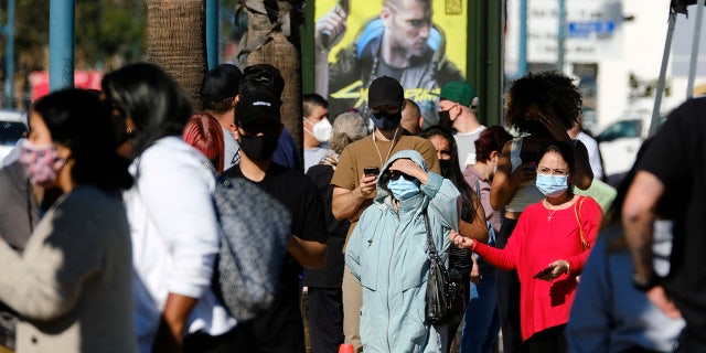 People wait in line to be tested for COVID-19 at a testing site in the North Hollywood section of Los Angeles on Saturday, Dec. 5, 2020.(AP Photo/Richard Vogel)
