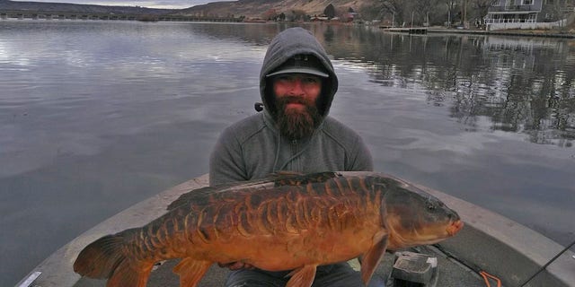 Alex Veenstra reeled in a 30-pound, 4-ounce mirror carp measuring in at 36 inches.