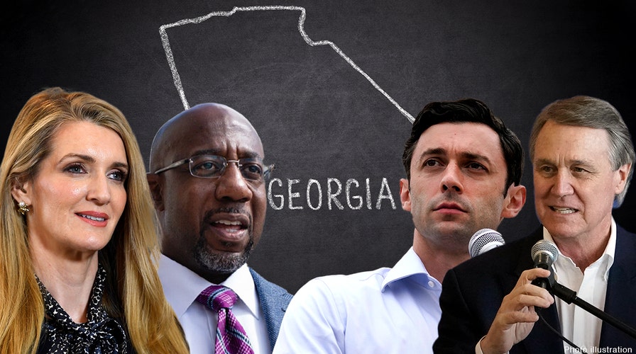 Georgia Senate debate stakes 'tremendous': Chris Wallace
