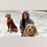 This is my beautiful wife Mariko McCall and our two hunting dogs Sailor and Remy! Both are wirehaired vizsla’s! Merry Christmas from Tellico Lake Tennessee!