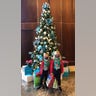 Dominic and Gabriel Teoli Christmas Time