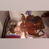 Here is our 9 year old little girl at 1am in the morning with her Christmas Saddle. She had been dreaming and asking for it for over 2 years. She hopes to become a barrel racer and has slept with it every night since Christmas Day. Dad