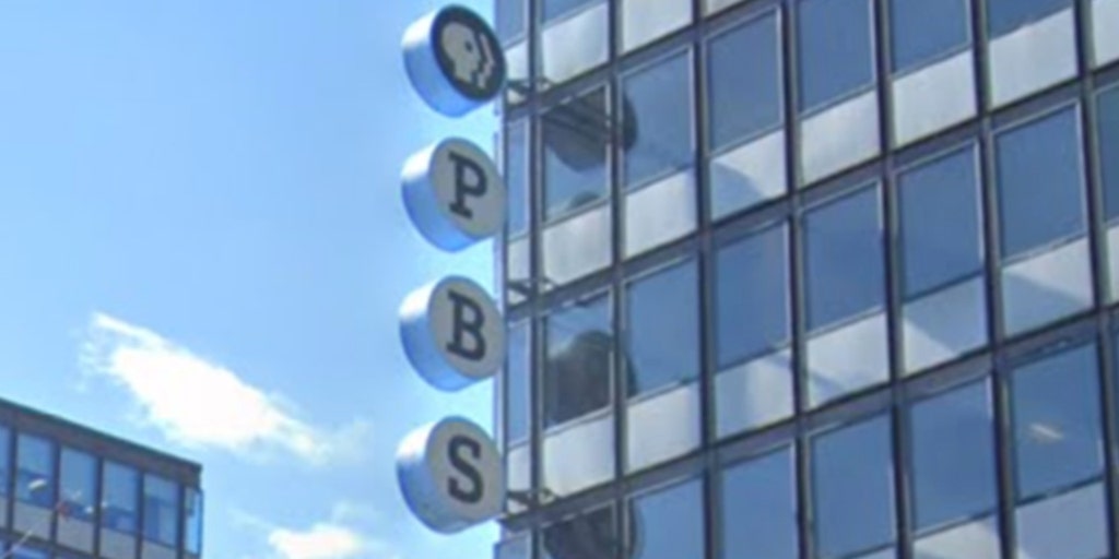 PBS lawyer suggested sending children of Trump voters to 'reeducation camps' where 'they watch PBS all day'
