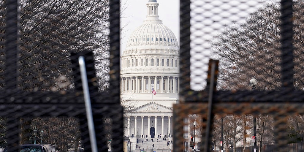 DC designates two areas for Inauguration Day protests amid heightened security - Vimarsana News