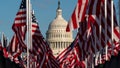 Flags are placed on the National Mall, with the U.S. Capitol behind them, ahead of the inauguration of President-elect Joe Biden and Vice President-elect Kamala Harris, Monday, Jan. 18, 2021, in Washington. - Fox News