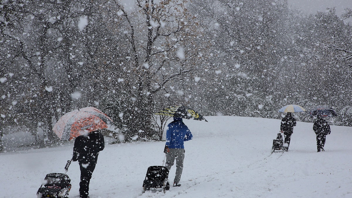 Disc golfers make their way through the snow that dropped at least five inches of snow at their tournament in Cameron Park, Sunday, Jan. 10, 2021, in Waco, Texas.