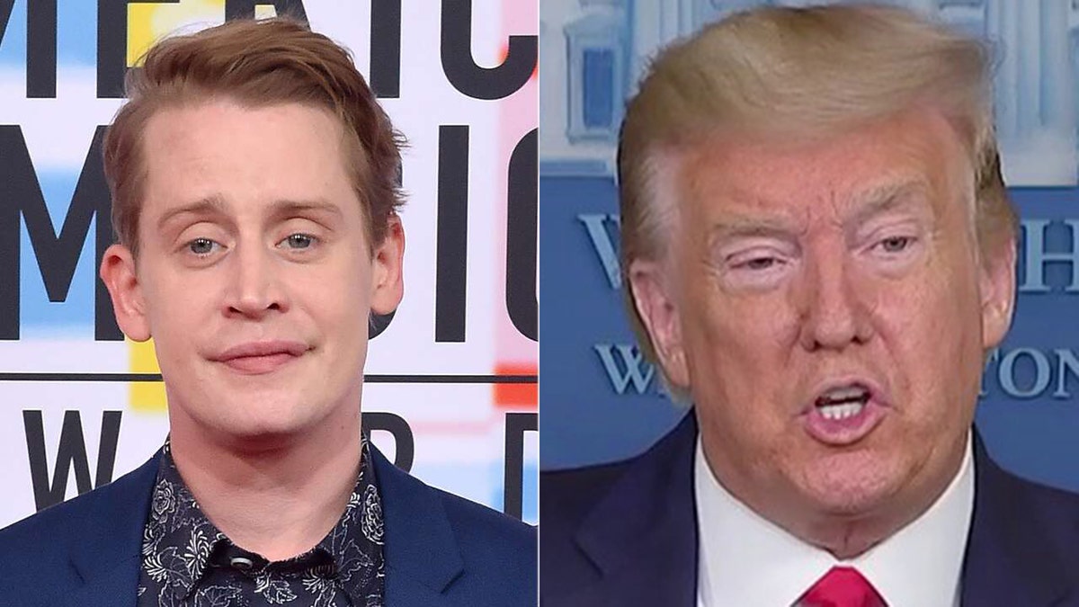 Macaulay Culkin agreed with a fan who posed the idea that Donald Trump should be digitally removed from 'Home Alone 2: Lost in New York.'