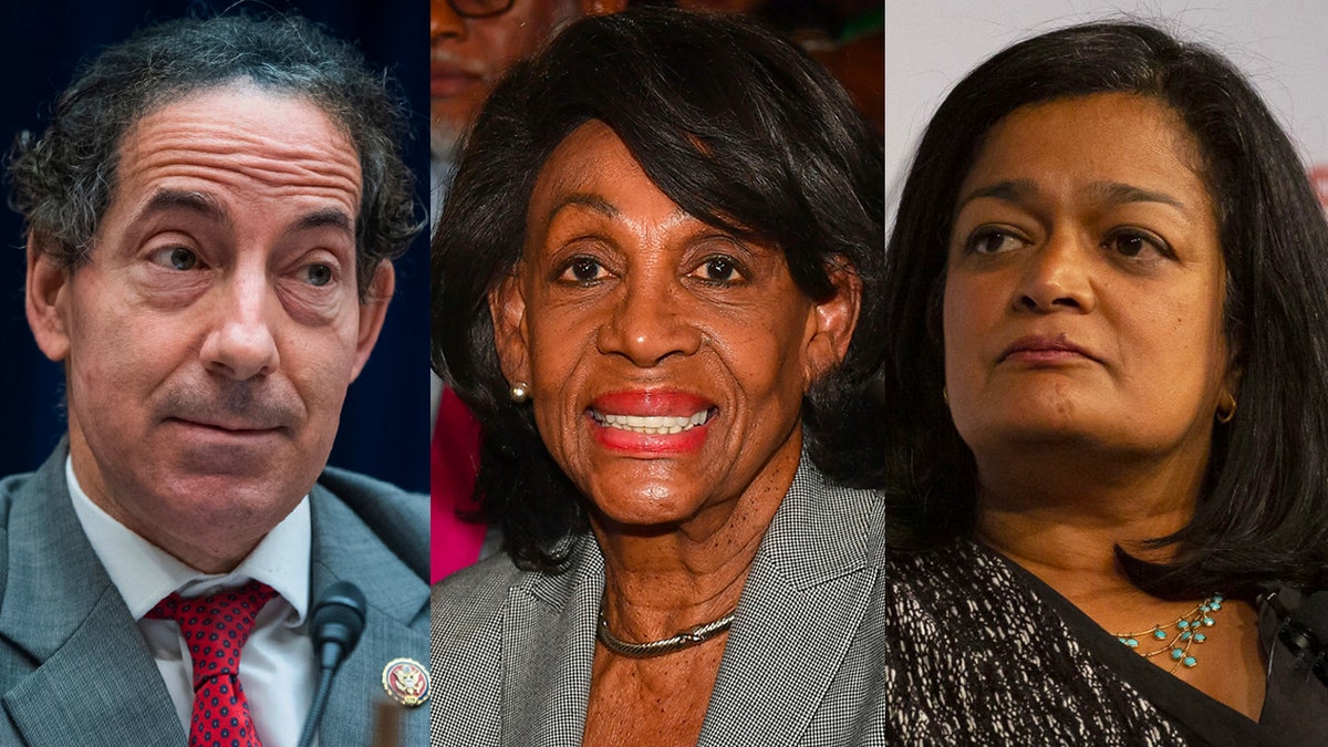 Raskin, Waters and Jayapal.