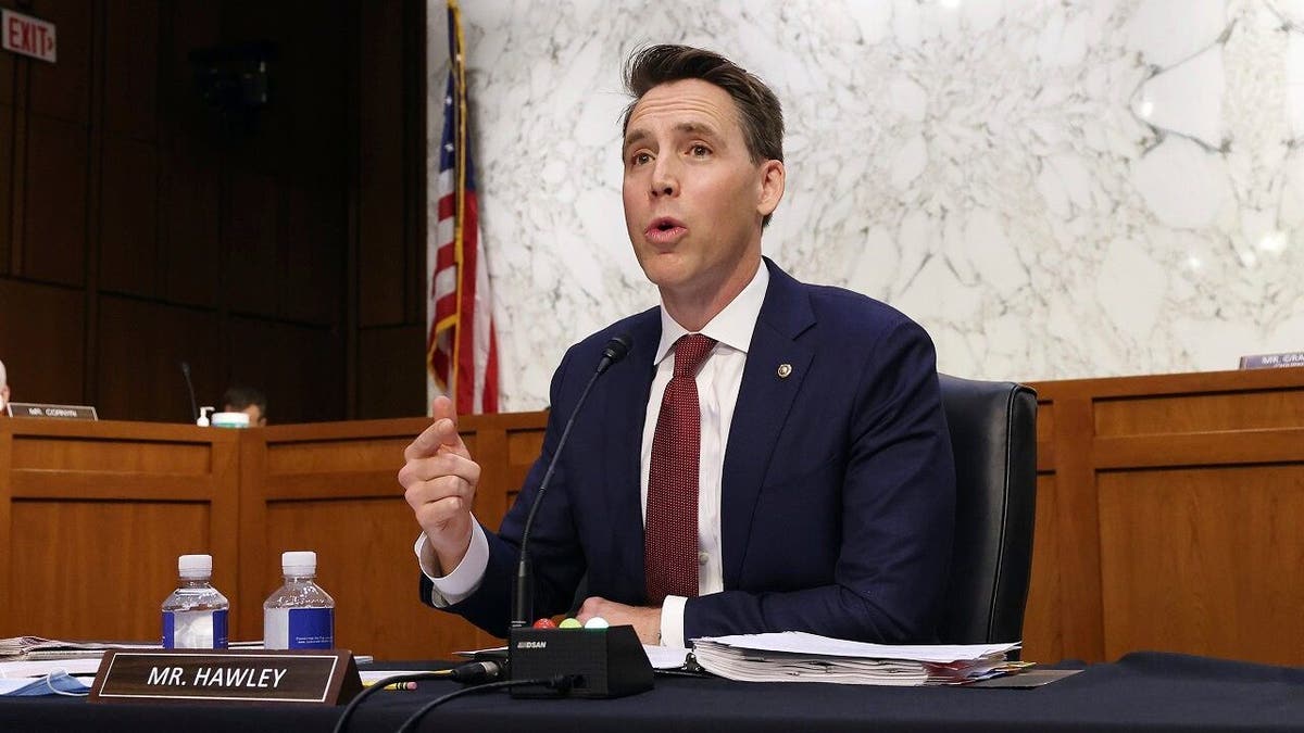 Sen. Josh Hawley, R-Mo., speaks during the confirmation hearing for Supreme Court nominee Amy Coney Barrett at the Senate Judiciary Committee on Capitol Hill in Washington, Monday, Oct. 12, 2020. (Win McNamee/Pool via AP)