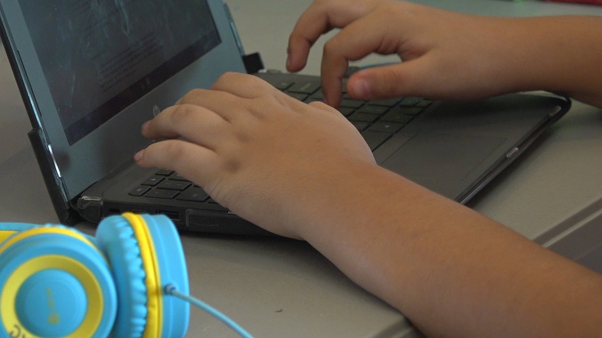 More and more school districts across the country are moving to virtual learning as COVID-19 cases continue to rise. Substitute teachers are having to learn new software programs while trying to adapt to each schools methods (Stephanie Bennett/Fox News).