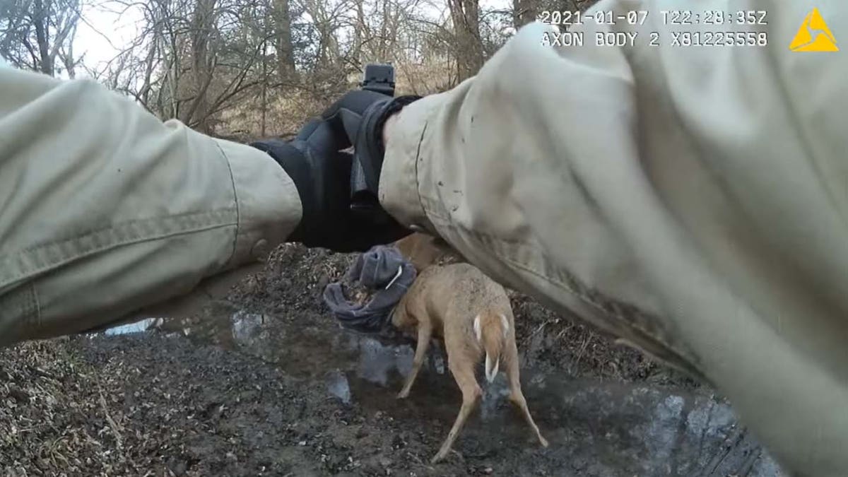 "The Game Wardens would like to thank the bow hunter who reported it and cooperating landowners for their help," the Kansas Department of Wildlife, Parks & Tourism wrote on Facebook.
