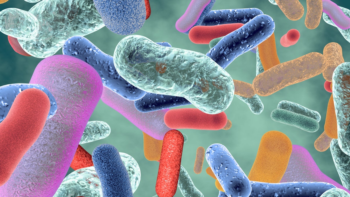 "Based on several patients surveyed in this study for up to 30 days after clearing SARS-CoV-2, the gut microbiota is likely to remain significantly altered after recovery from COVID-19," they said. (iStock)