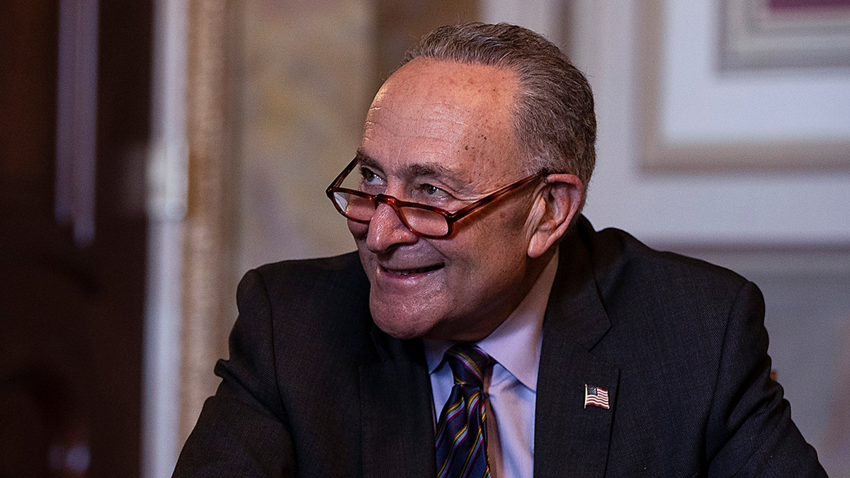 Senate Minority Leader Chuck Schumer (D-NY) meets virtually with incoming Secretary of Housing and Urban Development Marcia Fudge on December 17, 2020 in Washington, DC. (Photo by Tasos Katopodis/Getty Images)