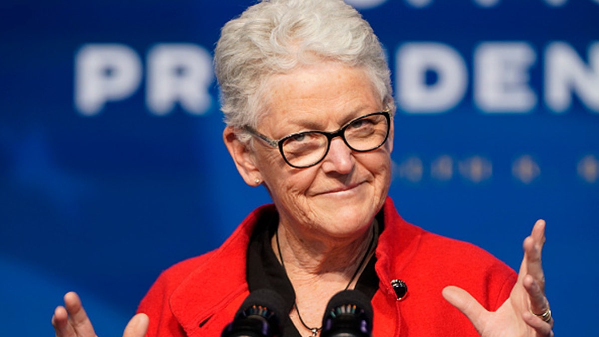 Appointee for National Climate Advisor, Gina McCarthy, speaks at the Queen theater on December 19, 2020 in Wilmington, DE. (Photo by Joshua Roberts/Getty Images)