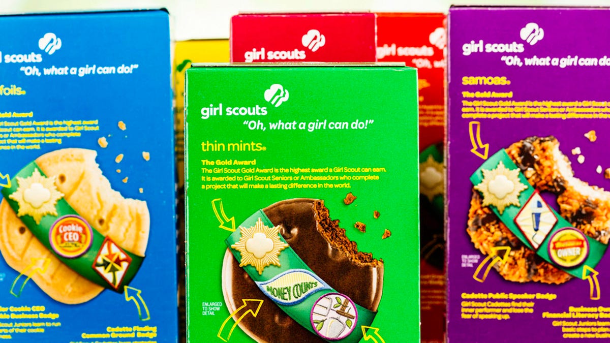 Girl Scout's adorable cookie sales pitch to doorbell camera goes