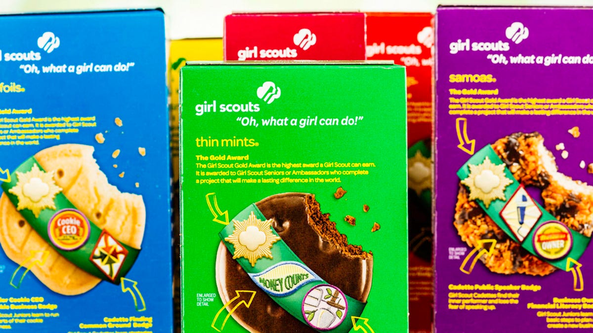 First-grader Allie Shroyer, from Scottsdale, Arizona, met her Girl Scout cookie sales goal after her adorable sales pitch to a doorbell security camera went viral. (iStock)