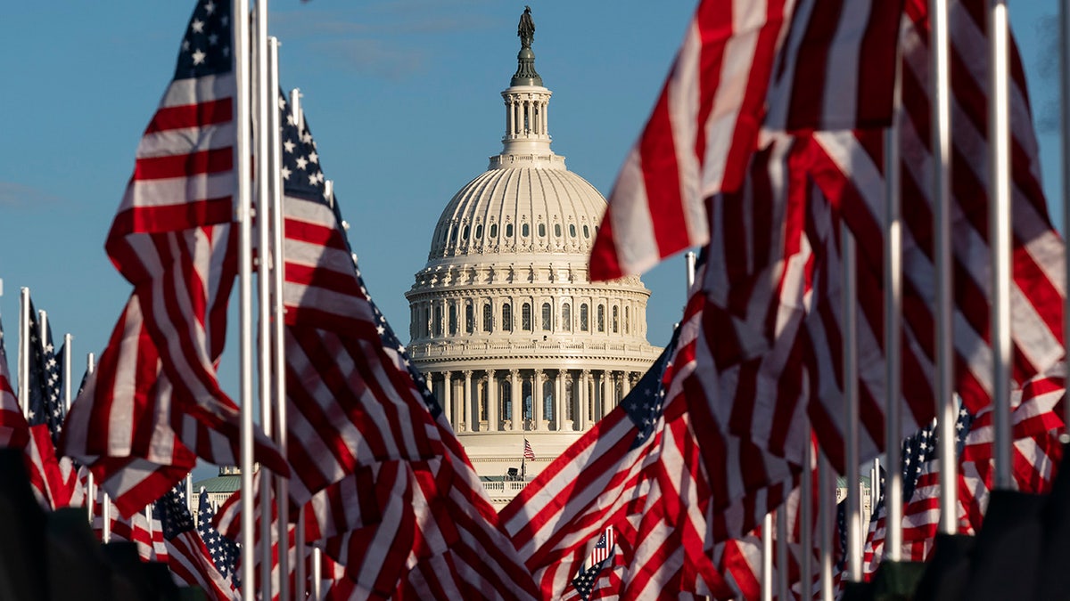 Flags and U.S. Capitol