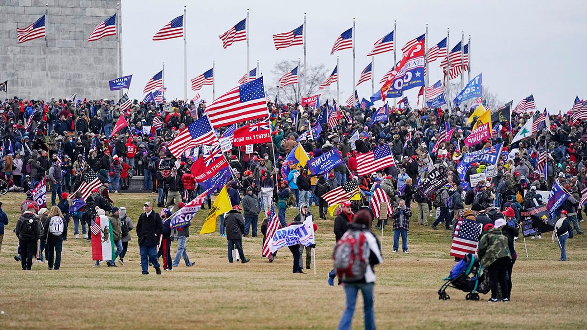 Trump supporters on National Mall