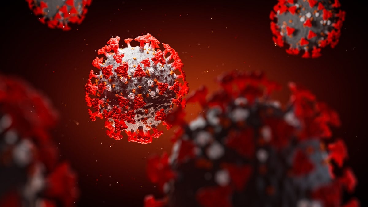 The variant strain includes three mutations on the virus's surface spike proteins. (iStock)