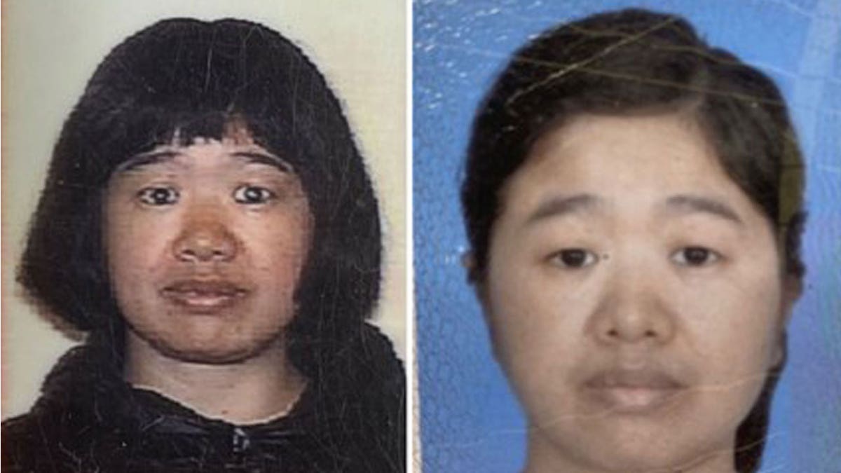 'Alice' Yu Xie, a Chinese national, was identified as the woman found dead in Yosemite National Park on Jan. 16, the same day she was reported missing, officials said. (NATIONAL PARK SERVICE)