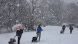 Disc golfers make their way through the snow that dropped at least five inches of snow at their tournament in Cameron Park, Sunday, Jan. 10, 2021, in Waco, Texas.