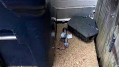 FBI warns explosives at state capitol protests around Inauguration Day pose 'substantial' threat: report