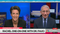 Fauci gushes over Maddow during 1st appearance on her MSNBC show, hints Trump WH 'blocked' him