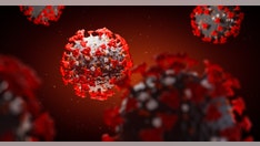 UK coronavirus variant identified in Massachusetts for first time