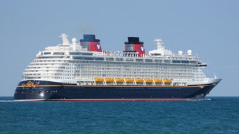 CBP boards eight cruise ships, arrests 28 in child exploitation ring case that included Disney - Fox News