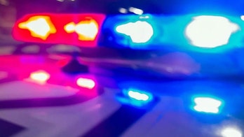 Texas homeowner killed in accidental shooting: report