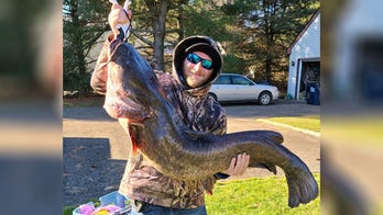 Maryland angler sets state's first record for invasive flathead catfish
