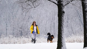 First blizzard of the season hits the Midwest