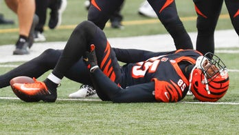 Bengals' Tee Higgins screams in pain, suffers hamstring injury