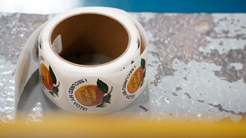 Left-wing activist blasted for suggesting Georgians may not find driver’s license number to vote