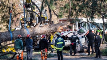 Intense gusts force wind warnings in 8 states, cause power outages for hundreds of thousands