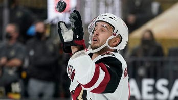 NHL pulls microchipped 'tracking' pucks 6 days into season