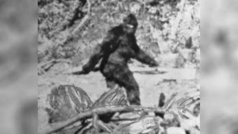 Bigfoot hunters beg for creature to be left alone after Oklahoma suggests Bigfoot hunt