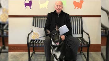 Biden's dog trainer says move to White House 'a little rushed' but solvable: report