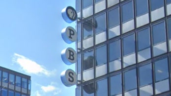 PBS lawyer suggested sending children of Trump voters to 'reeducation camps' where 'they watch PBS all day'