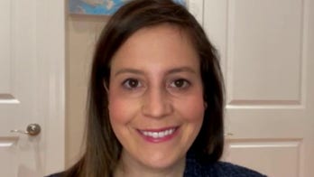 Rep. Stefanik slams Harvard for bowing to 'woke left mob' by removing her from advisory board