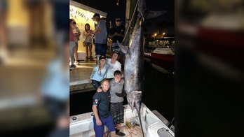Florida anglers catch record-breaking swordfish that weighs 767 pounds