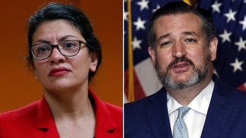 'Squad' member Rashida Tlaib calls Ted Cruz 'dumba--' for tweet against Paris climate accords