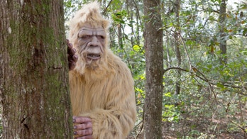 Oklahoma Rep. introduces bill to create Bigfoot 'hunting season'